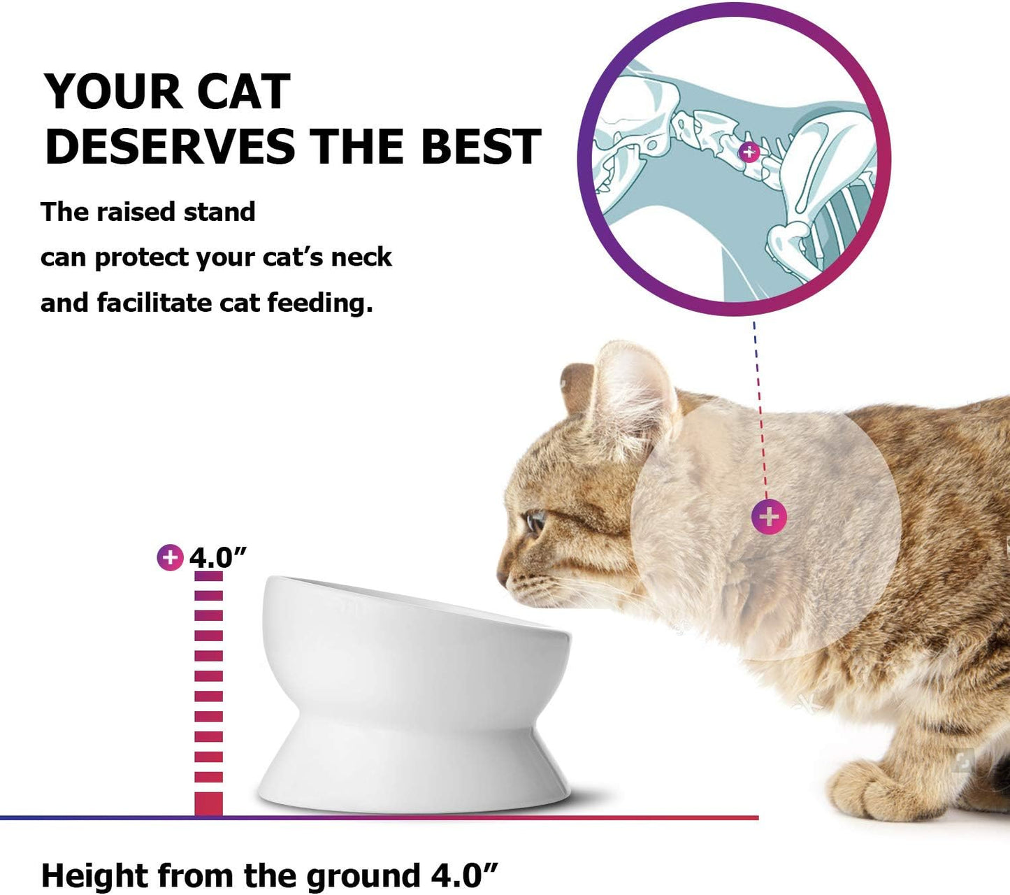 Elevated Ceramic Cat and Small Dog Food and Water Bowl, Tilted Design, 15 Oz Capacity, No Spill, Dishwasher Safe