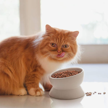 Elevated Ceramic Cat and Small Dog Food and Water Bowl, Tilted Design, 15 Oz Capacity, No Spill, Dishwasher Safe