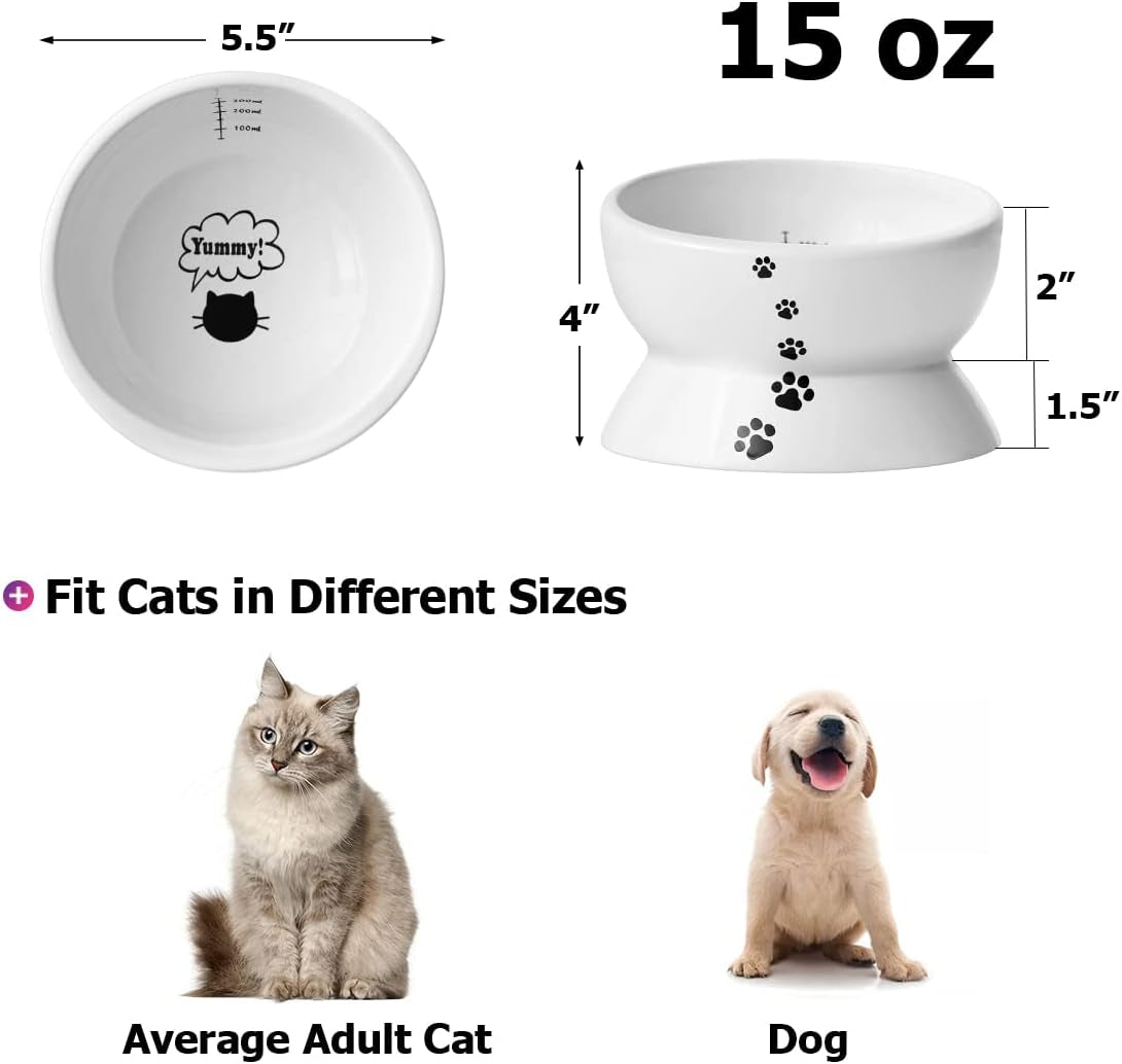 Elevated Ceramic Cat and Small Dog Food and Water Bowl, Tilted Design, 15 Oz Capacity, No Spill, Dishwasher Safe